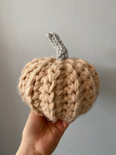 Load image into Gallery viewer, Medium Chunky Pumpkin Dusty Pink
